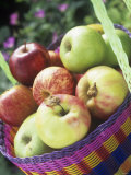 Buy Apples (Granny Smith and Gala) in a Basket at AllPosters.com