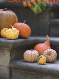 Buy Pumpkins on Stairs at AllPosters.com