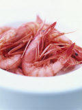 Buy Fresh Gambas on a Plate at AllPosters.com