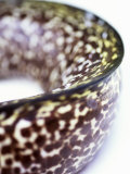 Buy A Moray Eel at AllPosters.com