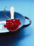 Buy Redcurrants on Spoon at AllPosters.com