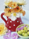 Flowers in Jug and a Bowl of Wild Apples