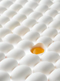 Buy White Eggs, Lying on Their Sides, One Opened at AllPosters.com