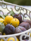 Damsons and Mirabelles in Wire Basket