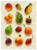 Exotic Fruit in Style of a Painting
