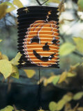 Buy Paper Lantern with Printed Pumpkin Face Hanging in Tree at AllPosters.com