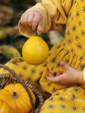 Buy Girl Holding a Baby Pumpkin at AllPosters.com