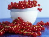 Buy Redcurrants, in and Beside Bowl at AllPosters.com