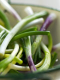 Buy Spring Onions in a Dish at AllPosters.com