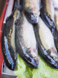 Buy Fresh Trout at a Market at AllPosters.com