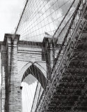 Under the Brooklyn Bridge