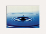 Buy Action: Drop of Water at AllPosters.com
