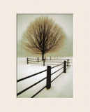 Buy Solitude at AllPosters.com