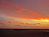 Buy Dawn at Beach at AllPosters.com