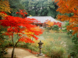 Garden of Joruriji Temple