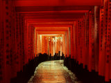 Buy Tunnel of Torii-Arches, Fushimi Inari Shrine, Kyoto, Japan at AllPosters.com