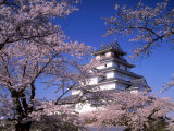 Tsurugajo Castle