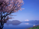 Cherry Blossoms and Lake Toyah