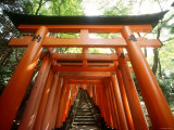 Buy Fushimi Inari Shrine at AllPosters.com