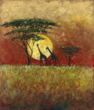 Buy Acacia Sunset Giraffes at AllPosters.com