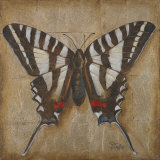Butterfly I