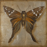 Brown Butterfly