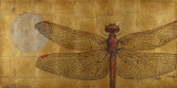 Dragonfly on Gold