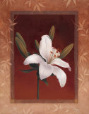 Buy Tiger Lily at AllPosters.com