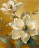 Magnolias Aglow at Sunset I