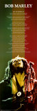 Buy Bob Marley at AllPosters.com