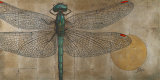 Dragonfly on Silver Art Print