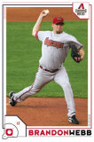 Arizona Diamondbacks- Brandon Webb