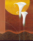 Buy White Callas at AllPosters.com