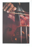 Buy Cello at AllPosters.com