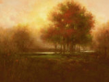 Buy Golden Forest at AllPosters.com
