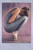 Buy Pinnacle Point at AllPosters.com