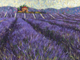 Buy Lavender Fields I at AllPosters.com