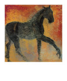 Furioso I