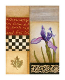 Fleur de Lis I