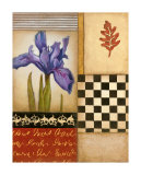 Fleur de Lis II