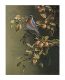 Buy Merle, Bleu at AllPosters.com