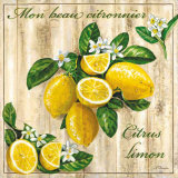 Buy Mon Beau Citronnier at AllPosters.com