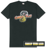 Buy Karate Kid - Cobra Kai - Sweep the Leg at AllPosters.com