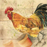 Buy Coq at AllPosters.com