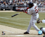 David Ortiz