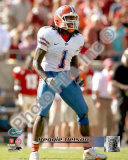 Reggie Nelson
