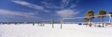 Buy Volleyball Nets on the Beach, Siesta Beach, Siesta Key, Florida, USA at AllPosters.com
