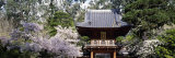 Entrance of a Park, Japanese Tea Garden, Golden Gate Park, San Francisco, California, USA