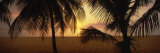Buy 7-Mile Beach at Sunset, Negril, Jamaica at AllPosters.com