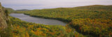 Trees in the Forest, Porcupine Mountains Wilderness State Park, Upper Peninsula, Michigan, USA
